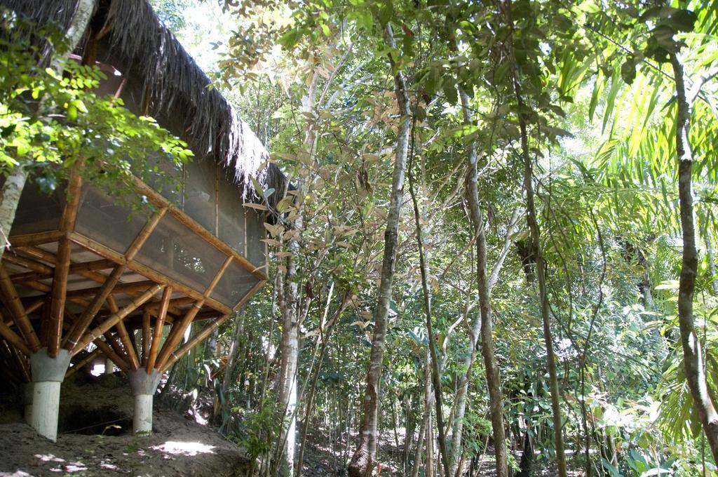 Universo Pol Bamboo Hostel Morro de São Paulo Rum bild