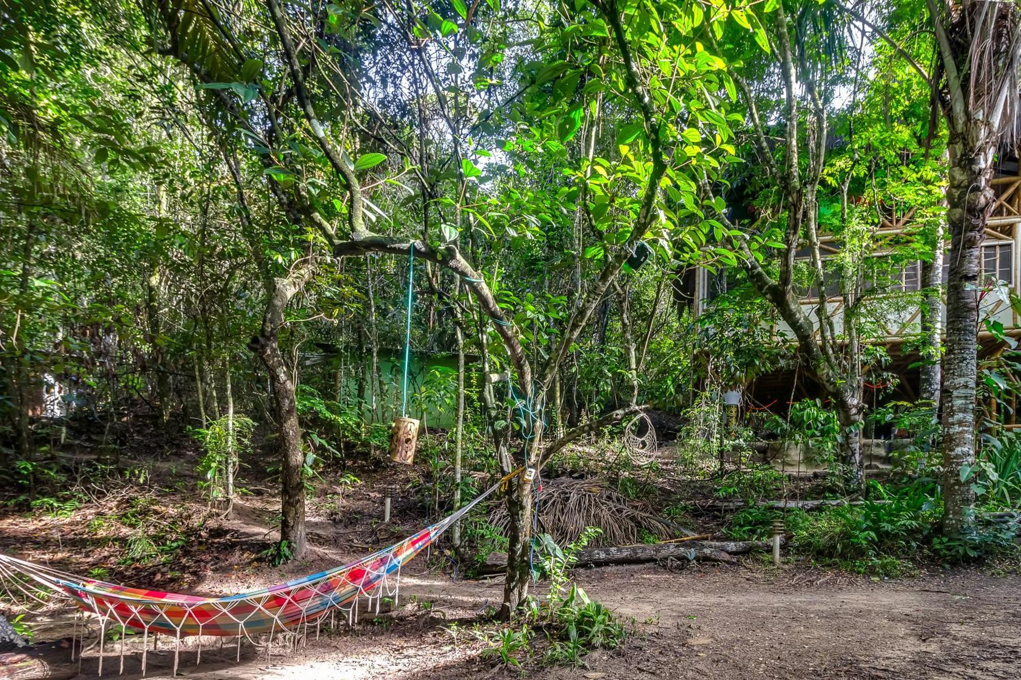 Universo Pol Bamboo Hostel Morro de São Paulo Exteriör bild