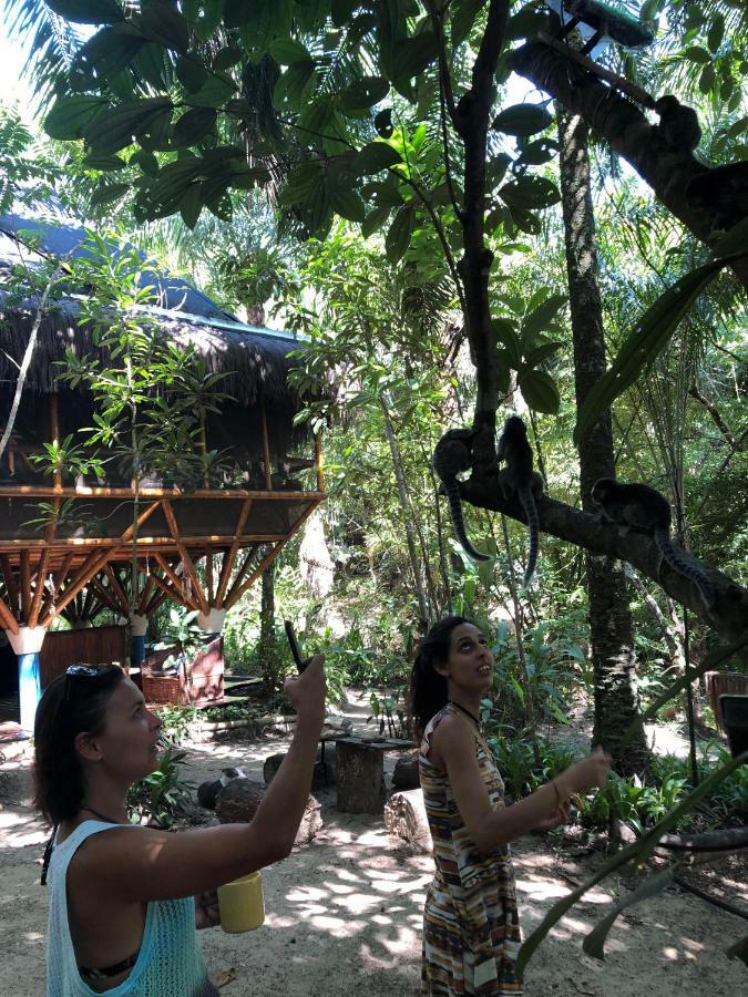 Universo Pol Bamboo Hostel Morro de São Paulo Exteriör bild